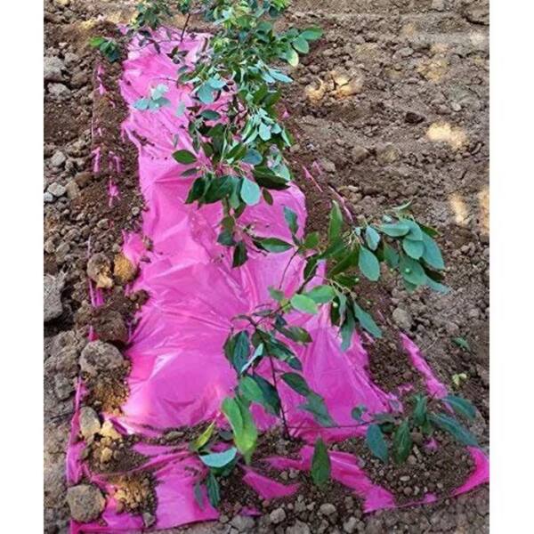 Agfabric 4 ft. x 250 ft. Size 1.2 Mil Pink Mulch Garden Plastic Film