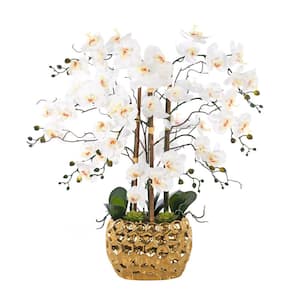 35.43 in. H Gold-plated Phalaenopsis Orchid Floral Arrangement in Pot