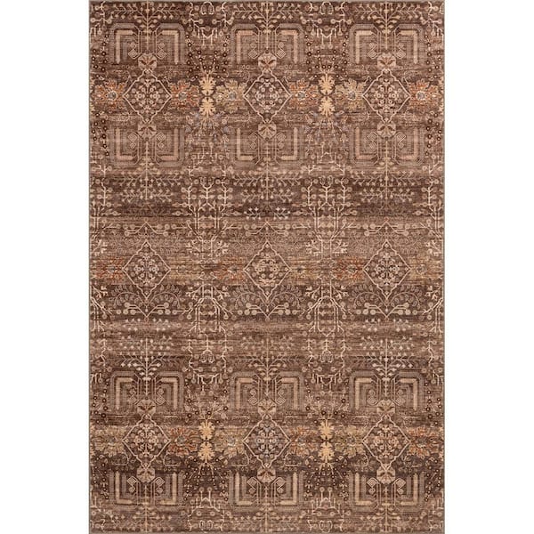 Feliciti SplashGuard Floral and Paisley Machine Washable Area Brown 9 ft. x 12 ft. Indoor Area Rug