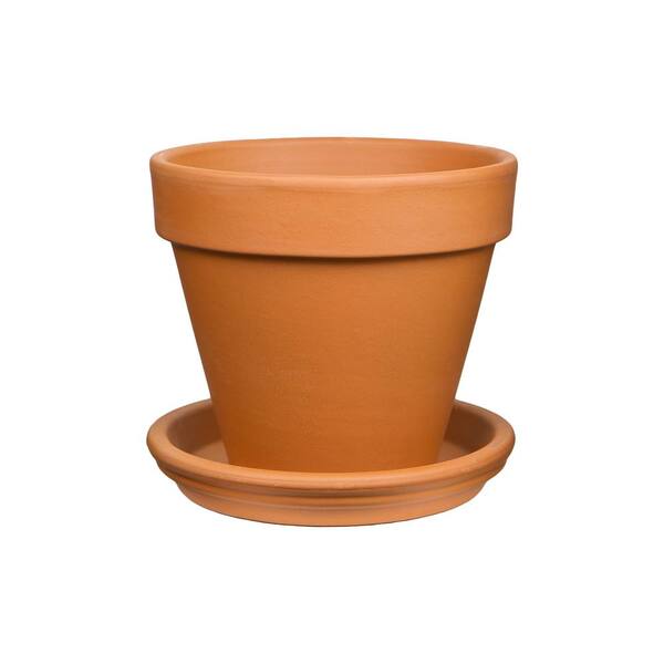 Vigoro 16 in. Large Terra Cotta Clay Saucer 100519847