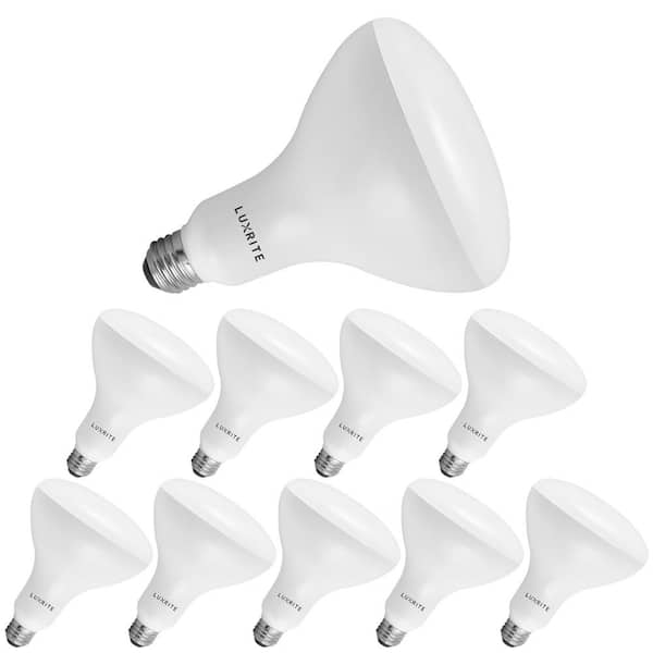 LUXRITE 85-Watt Equivalent BR40 Dimmable LED Light Bulbs Damp Rated 2700K Warm White (10-Pack)