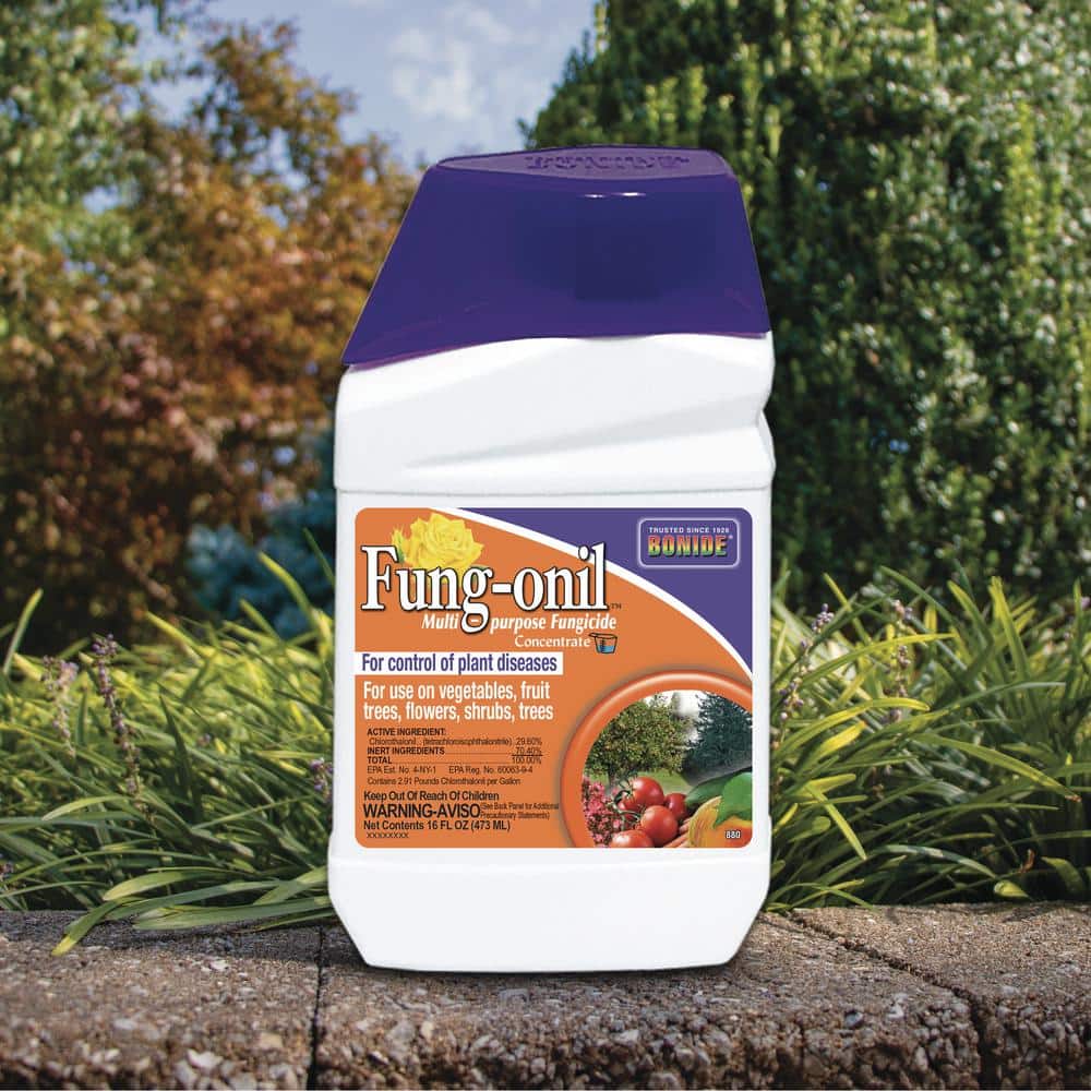Fung-onil Multi-Purpose Liquid Fungicide Concentrate, 16 oz