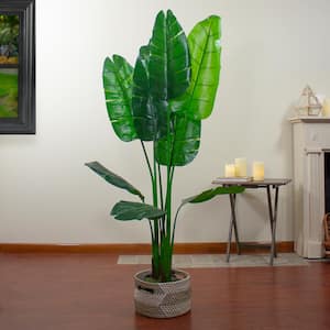 70 in. Artificial Green Travellers Palm Tree