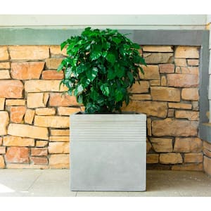 17.7 in. W Square Natural Concrete/Fiberglass Indoor Outdoor Elegant Planter