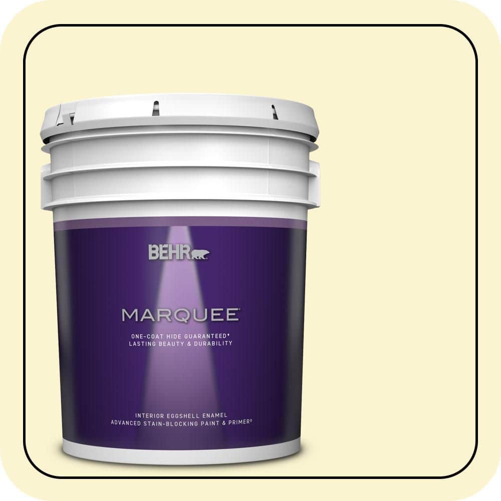 5 gal. #P310-1 Effervescent Eggshell Enamel Interior Paint & Primer price history on PriceWatchPro