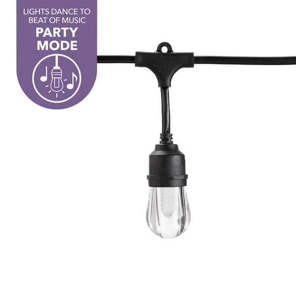 Smart Black 12-Light 24 ft. Indoor/Outdoor Plug-in Integrated LED RGBW String Light with Party Mode Powered by Hubspace