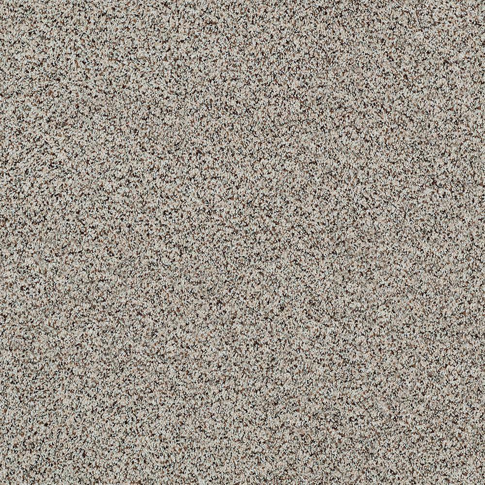 Lifeproof 8 in. x 8 in. Texture Carpet Sample - Madeline I - Color Bake ...