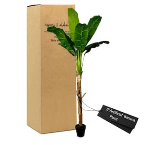 6 ft. Realistic Artificial Banana Tree In Home Basics Starter Pot Made with Real Banana Plant Bark