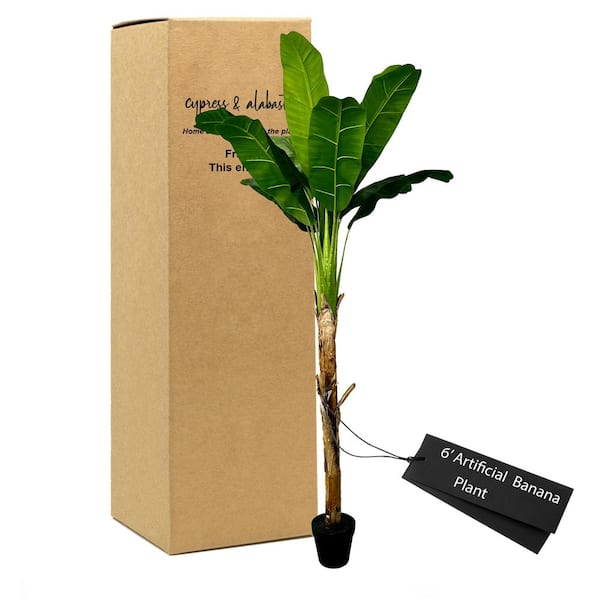 CYPRESS & ALABASTER 6 ft. Realistic Artificial Banana Tree In Home Basics Starter Pot Made with Real Banana Plant Bark