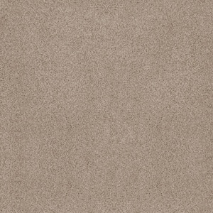 Sand Dunes I - Henna Brown 53 oz. Nylon Texture Installed Carpet