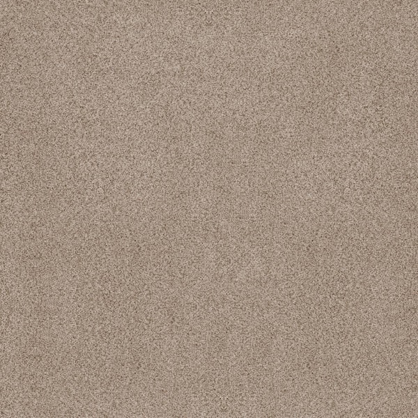 Lifeproof Sand Dunes I - Henna Brown 53 oz. Nylon Texture Installed Carpet