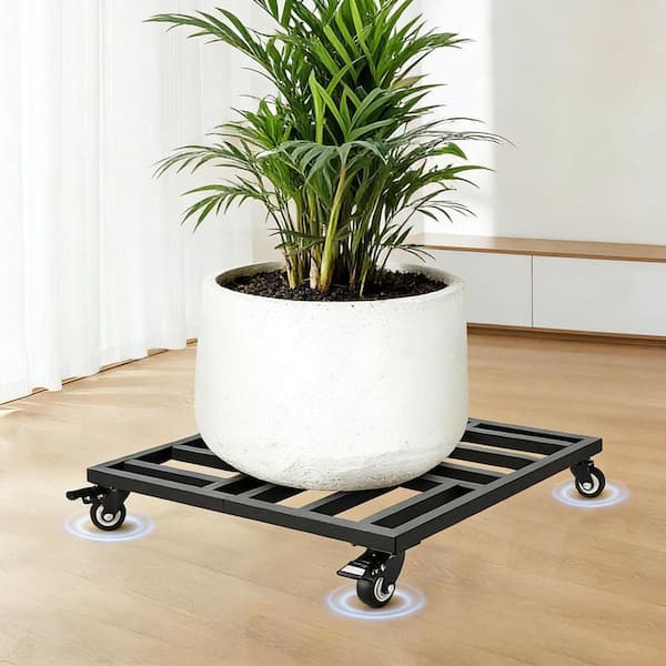 plastic plant tray 1020 No Drainage Black Plastic Carrier Trays – Harris Seeds main image 0