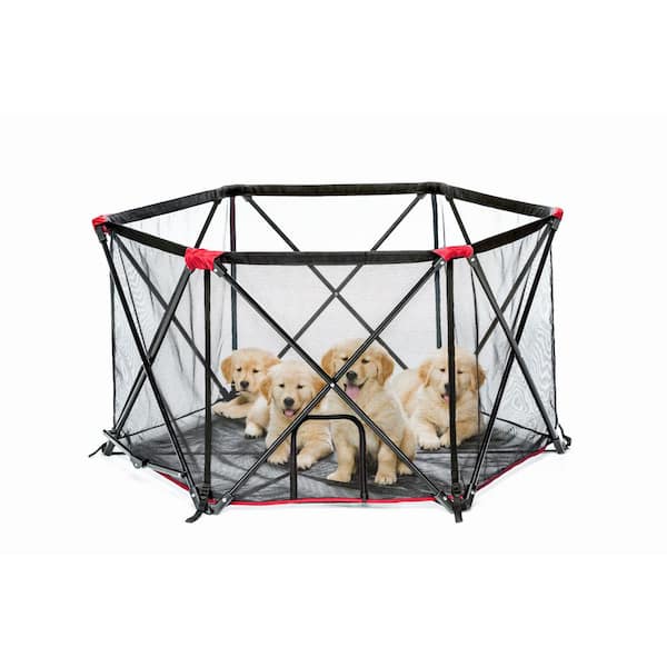 Carlson 2024 dog crate