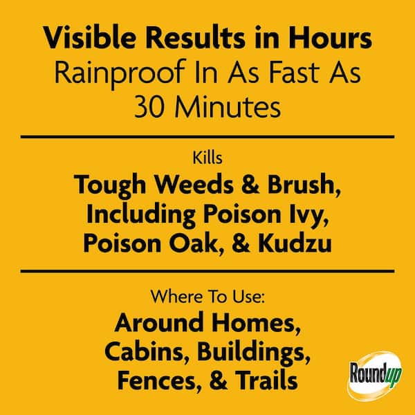 1 Gal. Poison Ivy Plus Tough Brush Killer with Comfort Wand, Visible Results in Hours