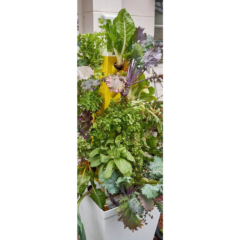 White Vertical Hydroponic Indoor/Outdoor 20 Plant Tower Kit