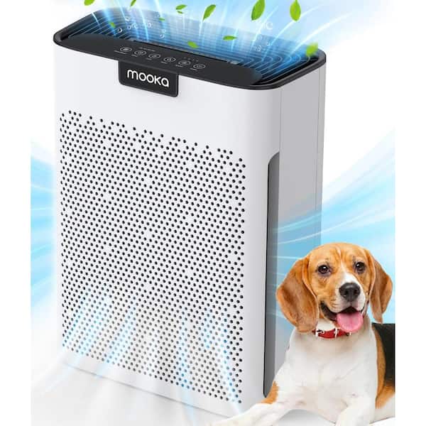 Unbranded 2000 Sq. Ft. Air Purifiers for Home and Large Room with Washable Filter, Fragrance Sponge, Sleep Mode and Timer in White