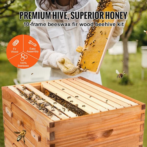 VEVOR Beehive Box Kit Bee Honey Hive 20 Frames 1 Deep 1 Medium Natural Fir  Wood CTFXSMSX1X120KXCKV0 - The Home Depot