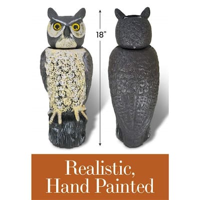 18.5 in. H Dalen Products SOL-R Action Owl