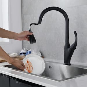 Single Handle Pull Down Sprayer Kitchen Faucet, Kitchen Sink Faucet with Pull Out Sprayer in Matte Black