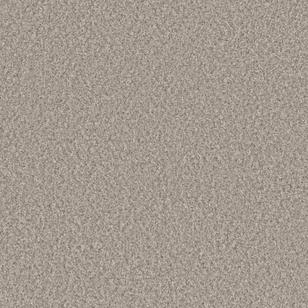 8 in. x 8 in. Texture Carpet Sample-Gentle Glimmer III-Color Shine