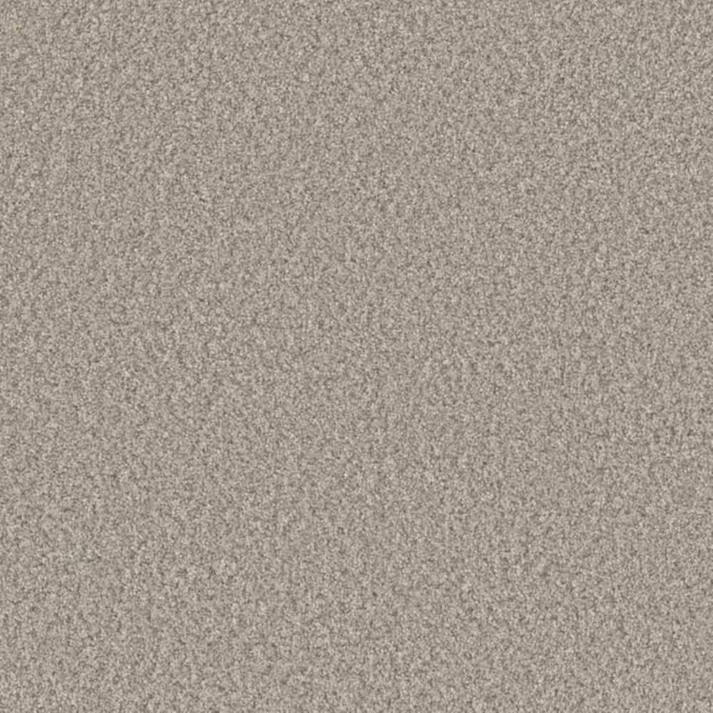 8 in. x 8 in. Texture Carpet Sample-Gentle Glimmer I-Color Shine price history on PriceWatchPro