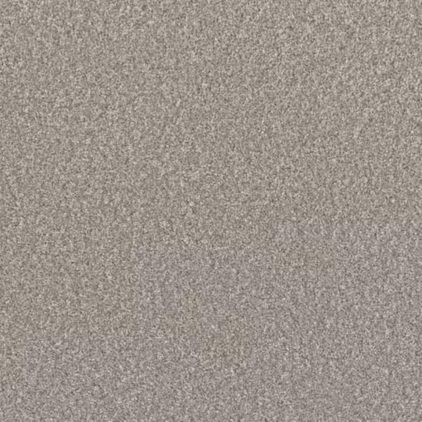 8 in. x 8 in. Texture Carpet Sample-Gentle Glimmer I-Color Luster