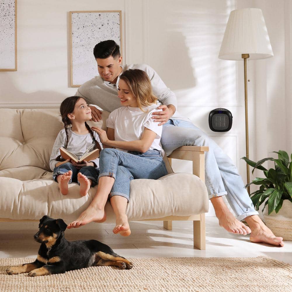 Black Wall-Mount Electric Mini Heater with Thermostat
