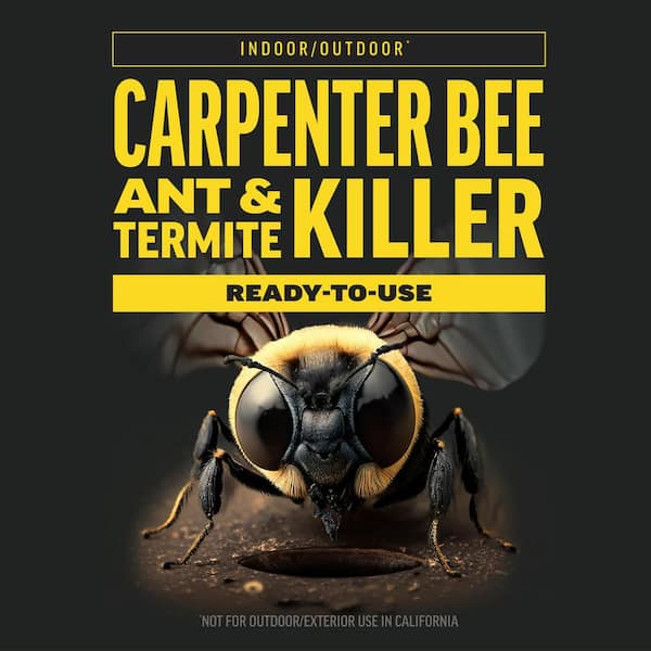AMDRO Quick Kill 1 gal. Outdoor Carpenter Bee, Ant and Termite