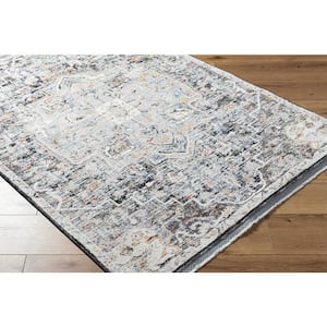Rivaldo Gray Doormat 2 ft. x 4 ft. Indoor Area Rug