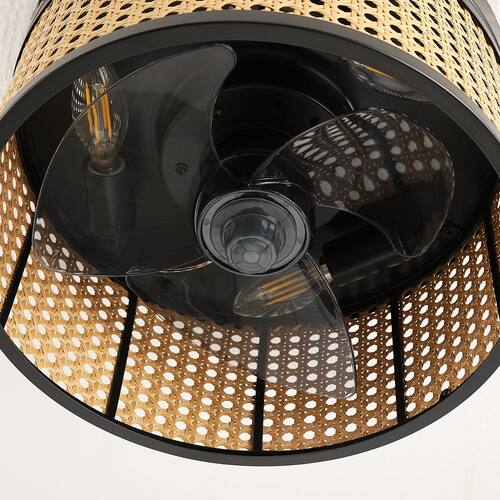 12.2 in. Indoor 3-Speeds Black Caged Ceiling Fan with Remote Control Ceiling Fans With Lights