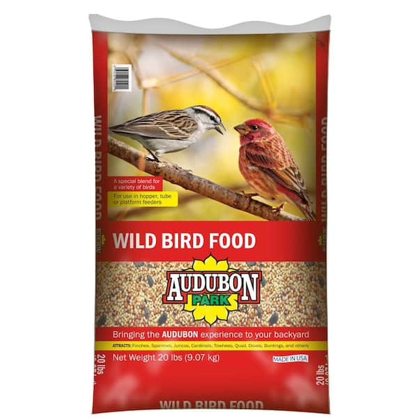 audubon wild bird food