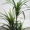 artificial-succulents-ypt01058-1f.3