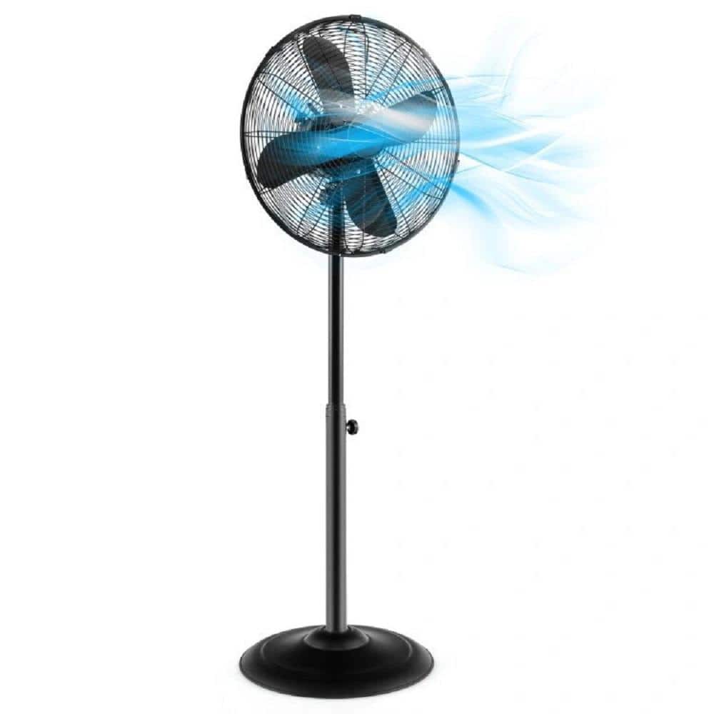 Oscillating 16 in. 3 fan speeds Pedestal Fan in Black w/Adjustable Height, 