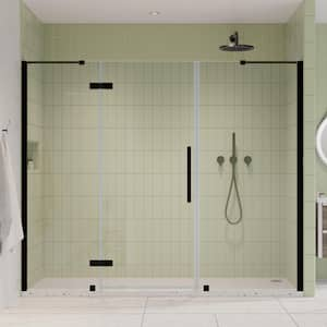 Tampa 85 3/8 in. W x 72 in. H Pivot Frameless Shower Door in Oil Rubbed Bronze