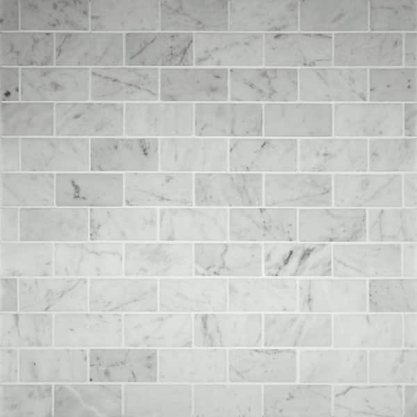 MSI Carrara White 12 in. x 12 in. x 10 mm Polished Marble