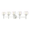 brushed-nickel-vanity-lighting-7502-5v-bn-64.0