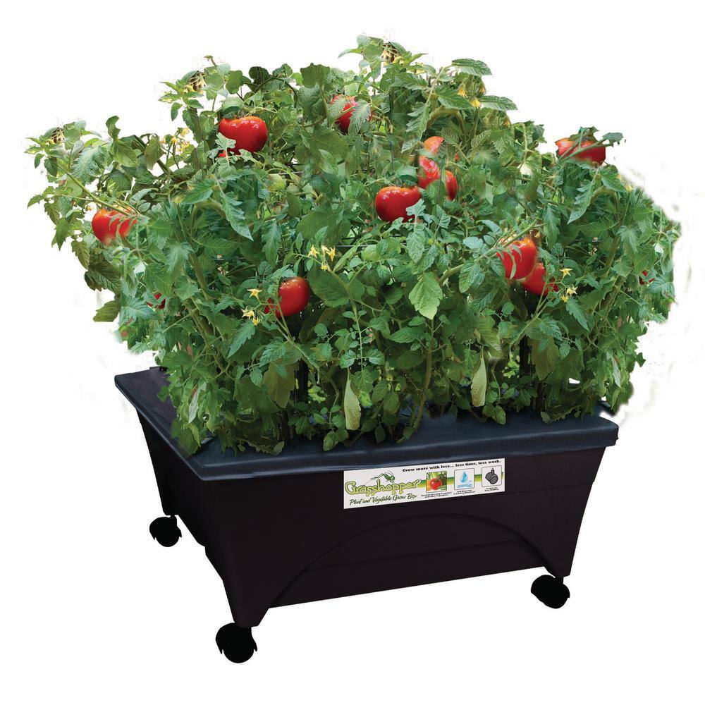 Have a question about Hydro Pickers 24 in. x 20 in. Raised Garden Bed