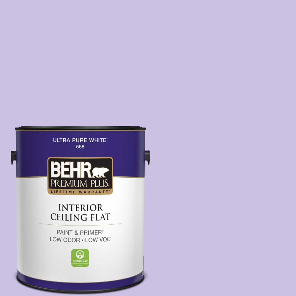 1 gal. #P560-3 Party Hat Ceiling Flat Interior Paint price history on PriceWatchPro