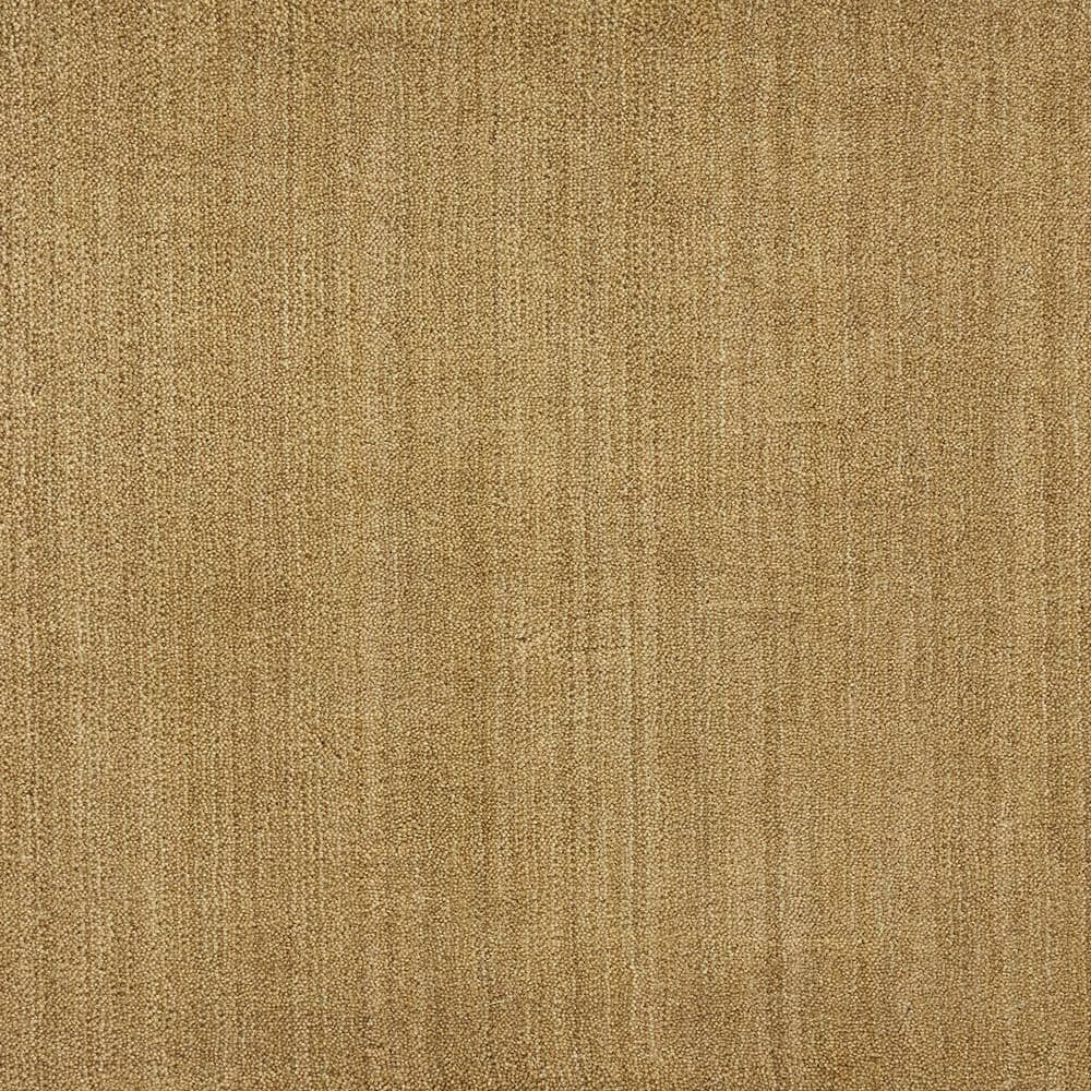 6 in. x 6 in. Texture Carpet Sample - Supreme - Color Brush price history on PriceWatchPro