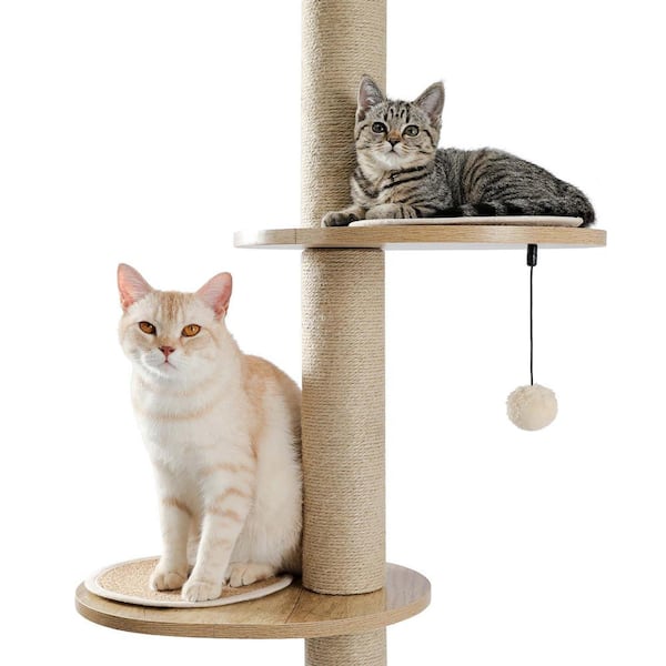 Floor to ceiling cat hotsell scratching post