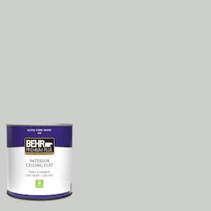 1 qt. #N460-2 Planetary Silver Ceiling Flat Interior Paint
