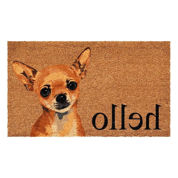 Multi-Colored 29 in. x 17 in. Coir Non-Slip Indoor/Outdoor Door Mat