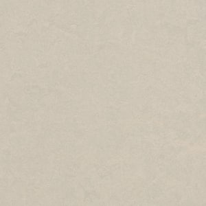 Cinch Loc Seal Edelweiss 9.8 mm T x 11.81 in. W x 11.81 in. L Laminate Flooring (6.78 sq. ft./case)