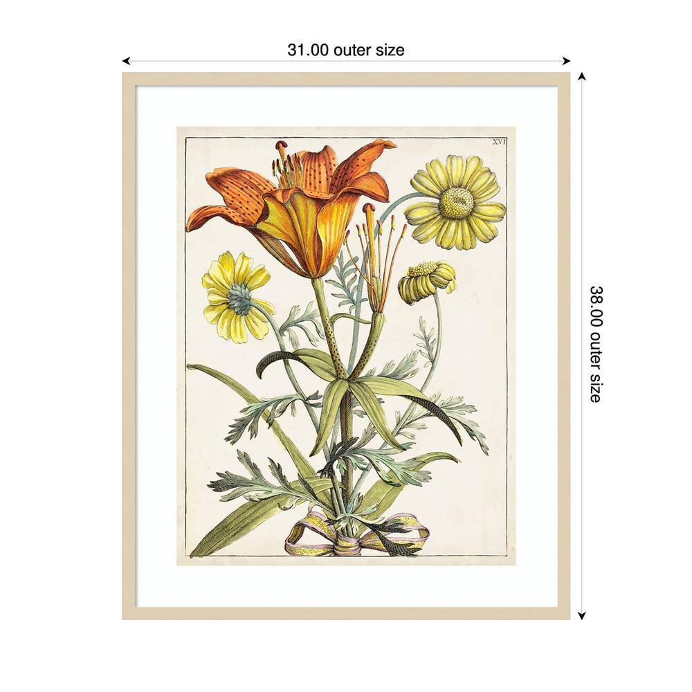 Pair of Pears II Brown Framed Canvas Print