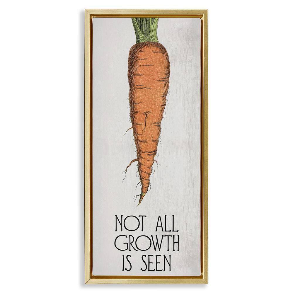 Carrot and Inspiring Growth by Daphne Polselli Gold Floater Frame Food Graphic Art Print 31 in. x 15 in. price history on PriceWatchPro