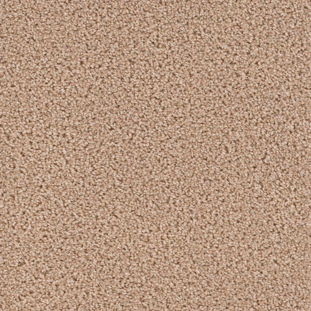 8 in. x  8 in. Texture Carpet Sample - Happy Chance -Color Winsome price history on PriceWatchPro
