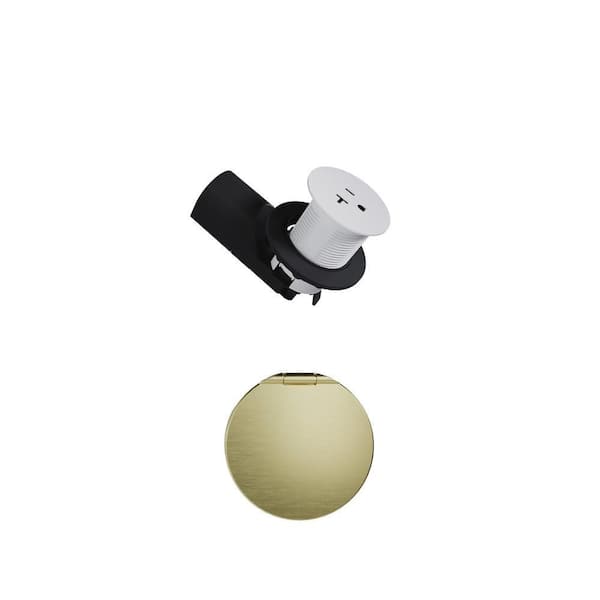 Pass and Seymour 20 Amp Matte White Kitchen Outlet with Champagne Bronze Metal Wall Plate Lid