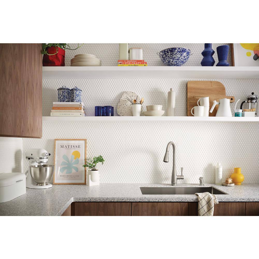 Birchfield Stainless Steel Pull-Down Kitchen Faucet with Spray