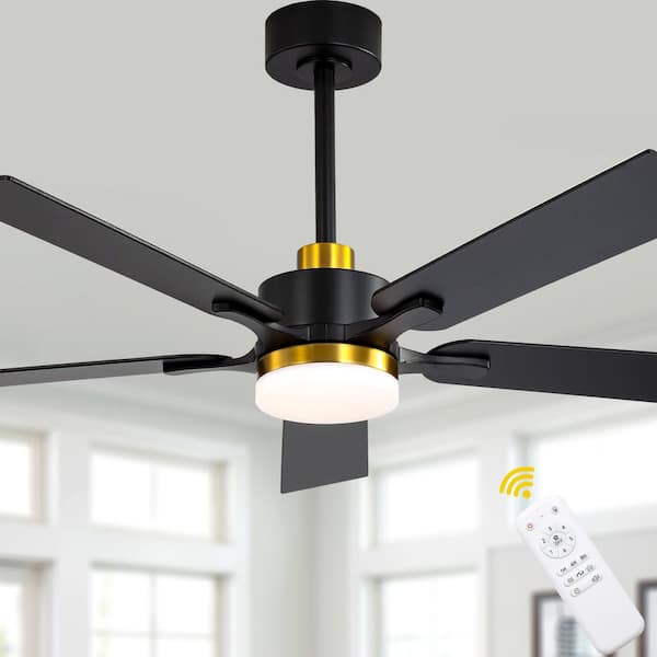 Olyvea 52 in. Indoor Black Caged Ceiling Fan with Light and Remote, Modern Reversible Ceiling Fan with 6-Speeds