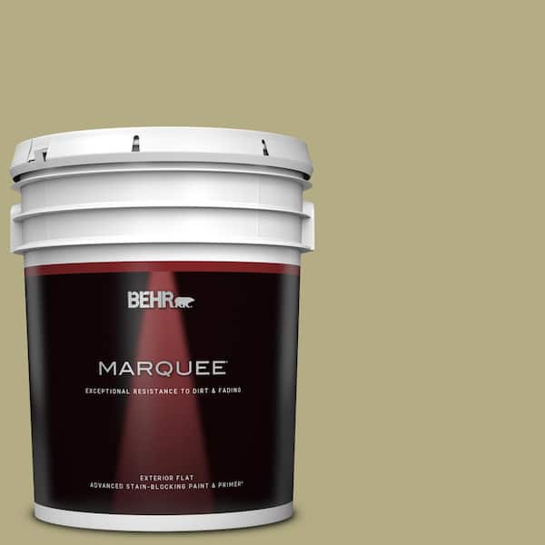 BEHR MARQUEE 5 gal. #PPU9-08 Tarragon Tease Flat Exterior Paint & Primer